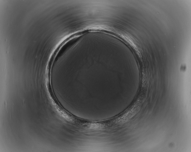 X0000098230984200805151337