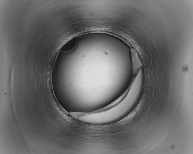 X0000098230985200805151337