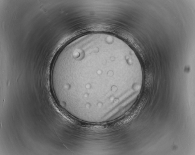 X0000098230986200805151337