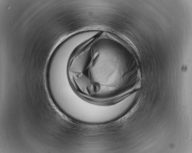 X0000098230989200805151337