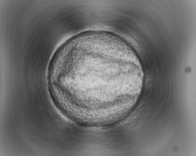 X0000098230990200805151337