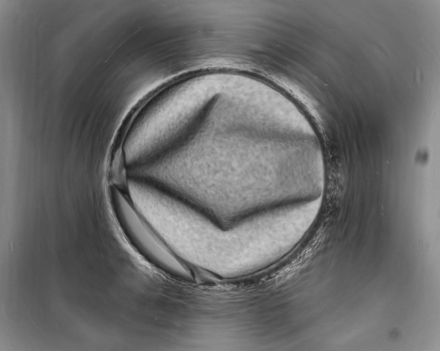 X0000098230991200805151337