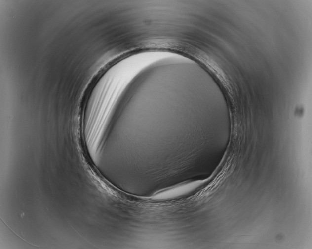 X0000098230992200805151337