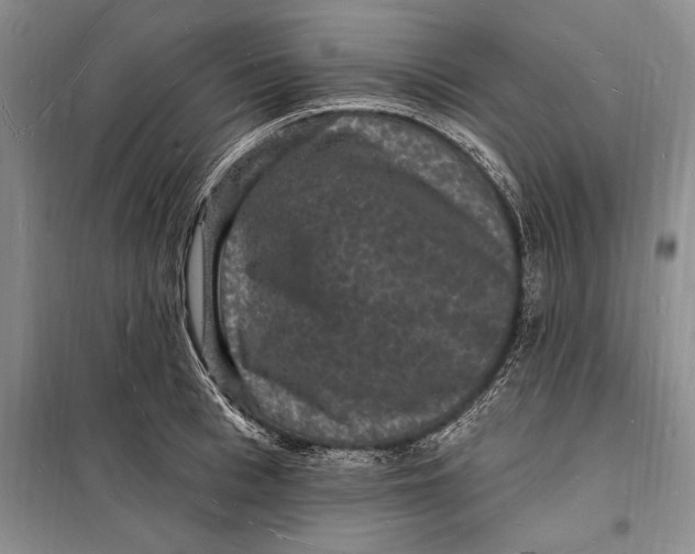 X0000098230993200805151337