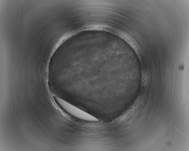 X0000098230994200805151337