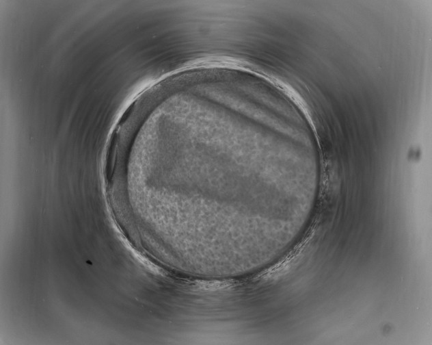 X0000098230997200805151337