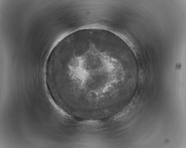 X0000098230998200805151337