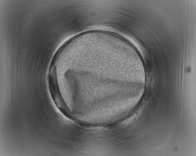 X0000098230999200805151337