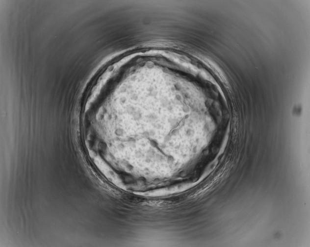 X0000098231000200805151337