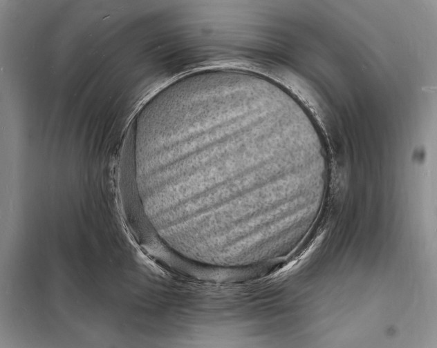 X0000098231001200805151337