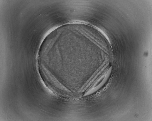 X0000098231003200805151336