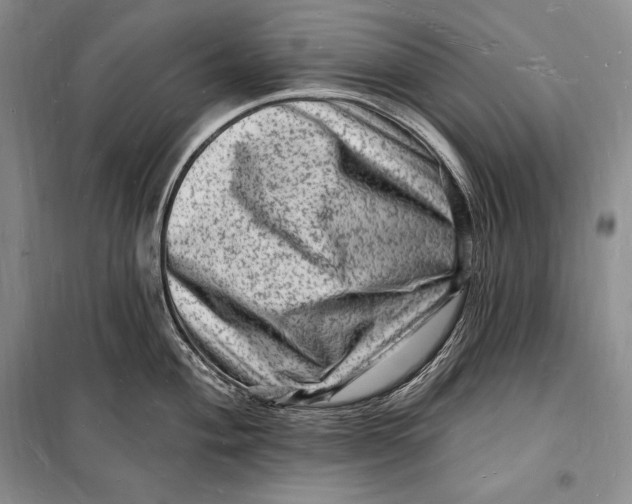 X0000098231004200805151336