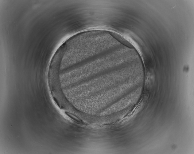 X0000098231005200805151336