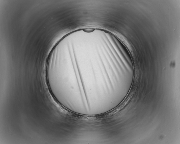 X0000098231006200805151336