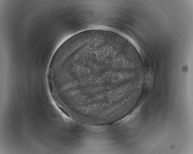 X0000098231007200805151336