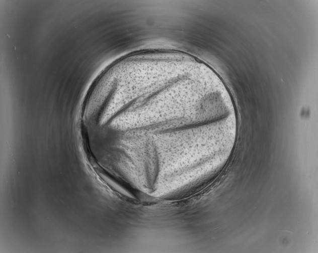 X0000098231008200805151336