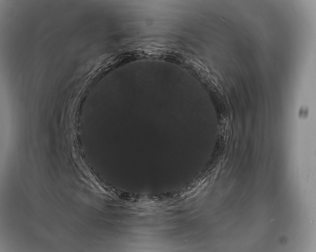 X0000098231009200805151336