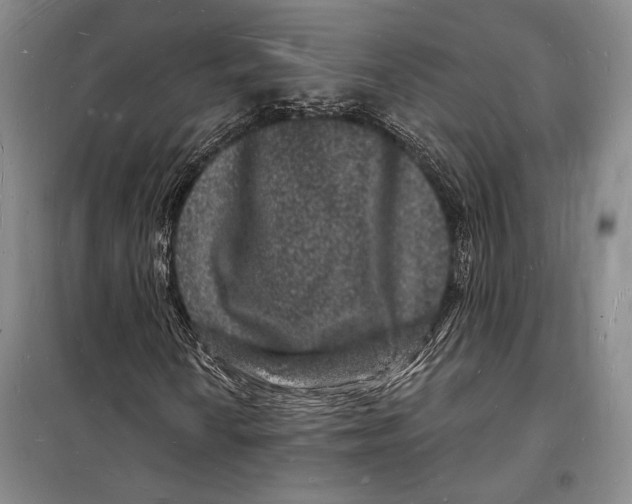 X0000098231010200805151336