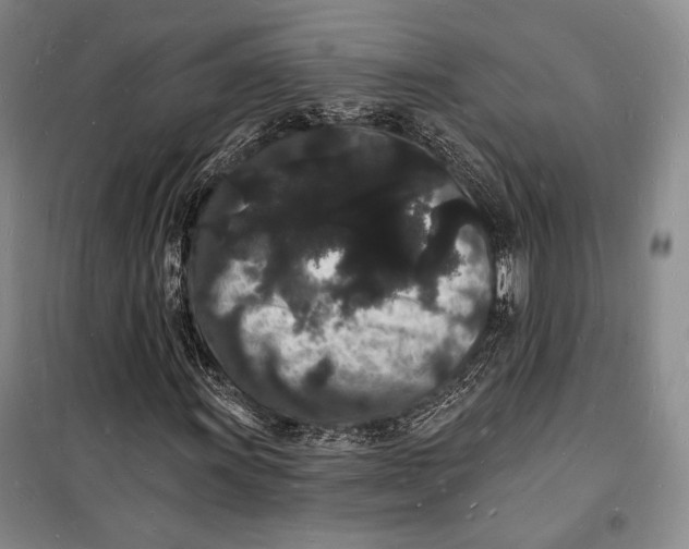 X0000098231011200805151336