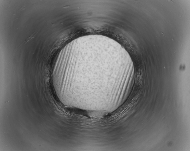 X0000098231012200805151336