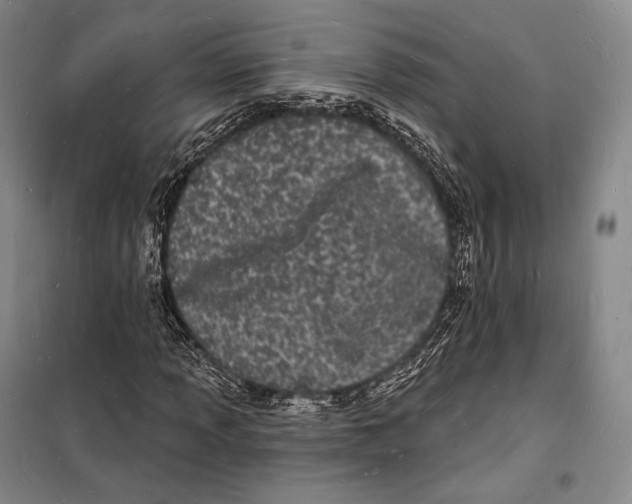 X0000098231013200805151336