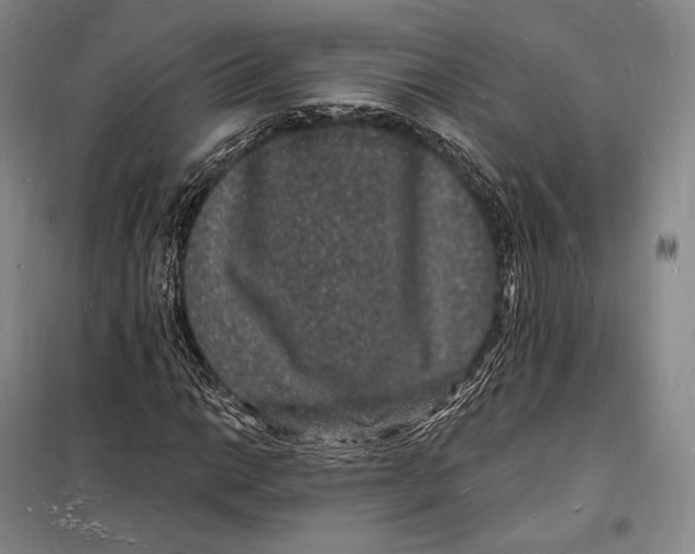 X0000098231014200805151336