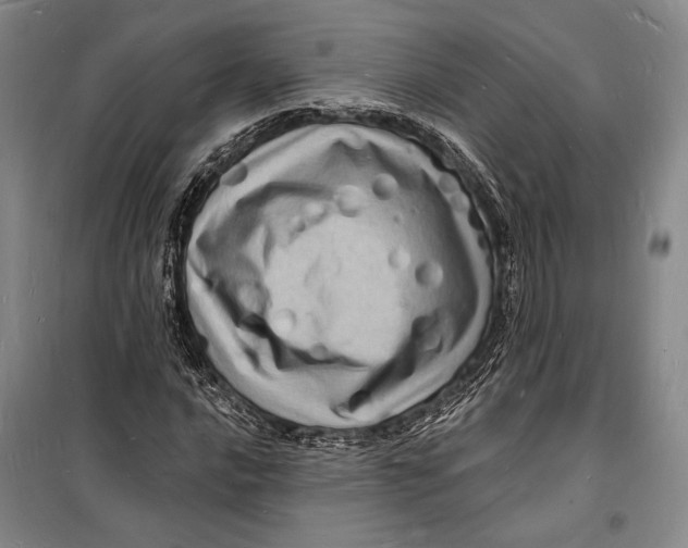 X0000098231016200805151336