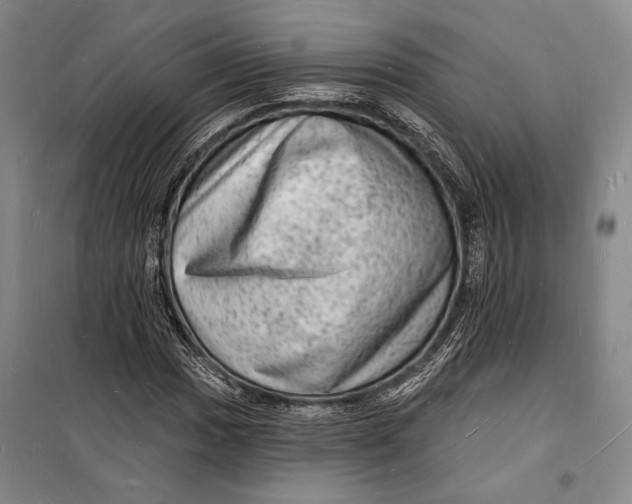 X0000098231017200805151336