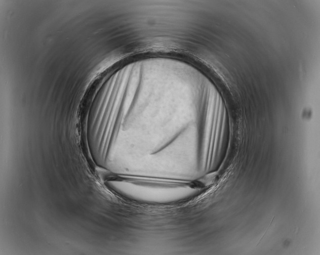 X0000098231018200805151336