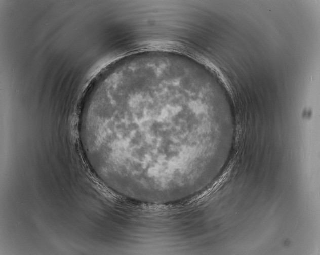 X0000098231019200805151336