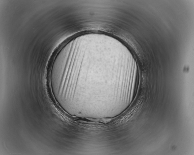 X0000098231020200805151336