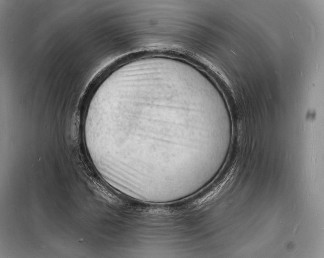 X0000098231021200805151336