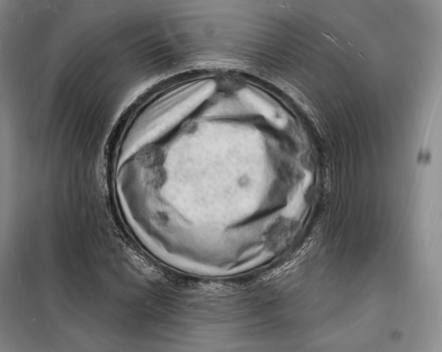 X0000098231022200805151336