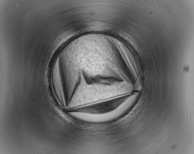 X0000098231026200805151336