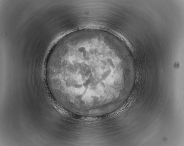 X0000098231027200805151336