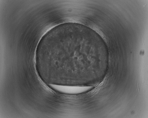 X0000098231028200805151336