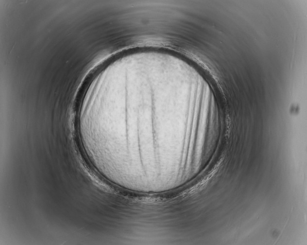 X0000098231029200805151336