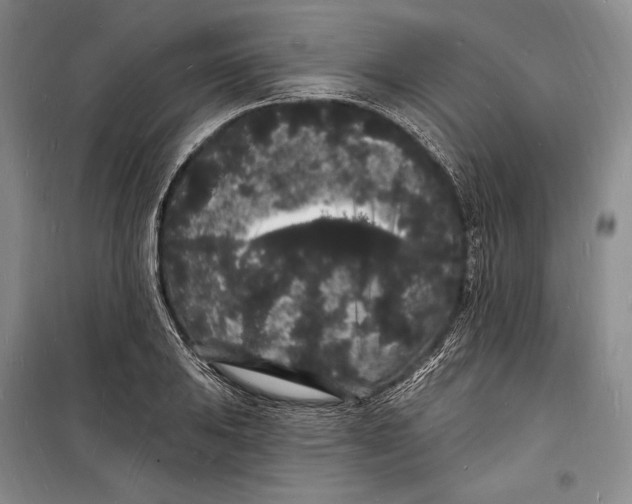 X0000098231031200805151336