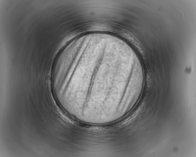 X0000098231033200805151336