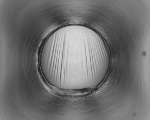 X0000098231034200805151336