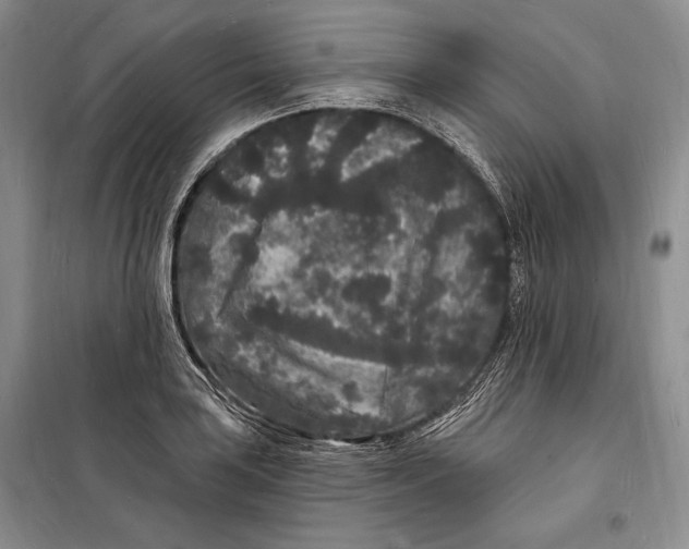 X0000098231035200805151336