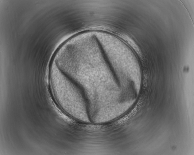 X0000098231036200805151336