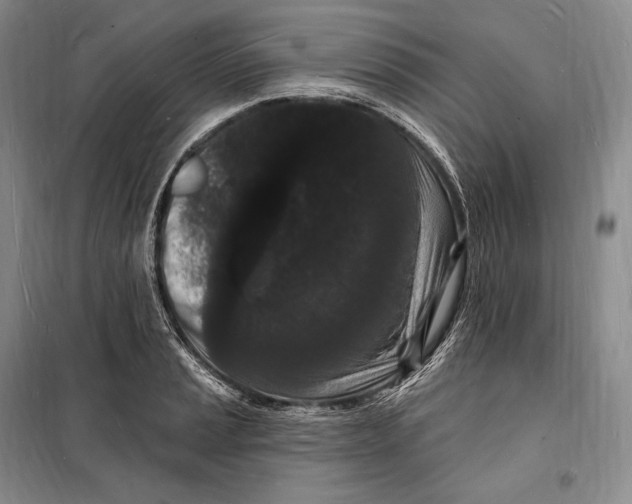 X0000098231037200805151336