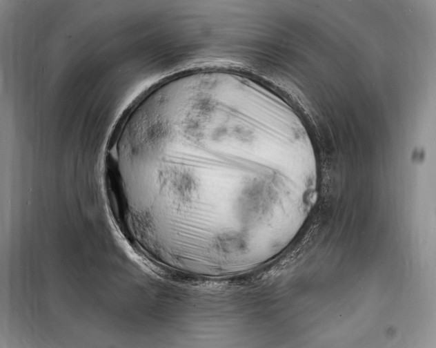 X0000098231038200805151336