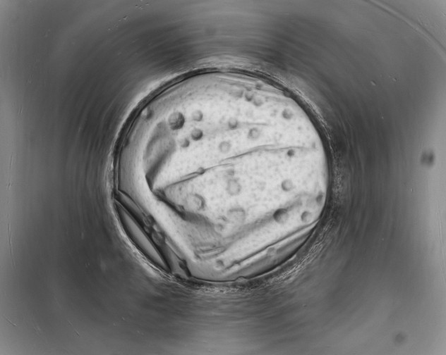 X0000098231040200805151336