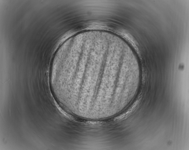 X0000098231041200805151336