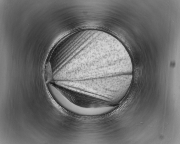 X0000098231042200805151336