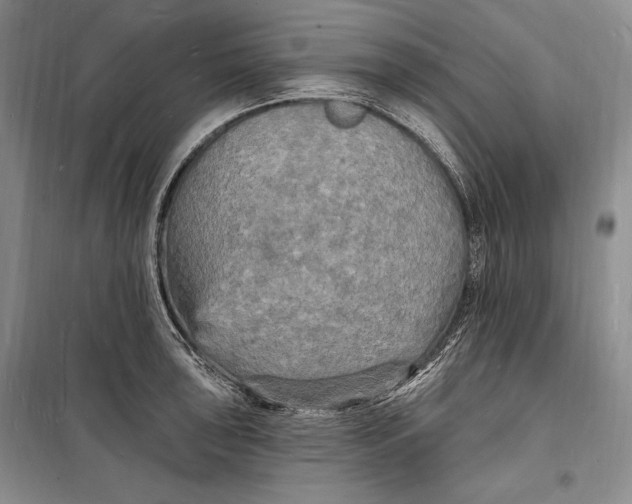 X0000098231043200805151336