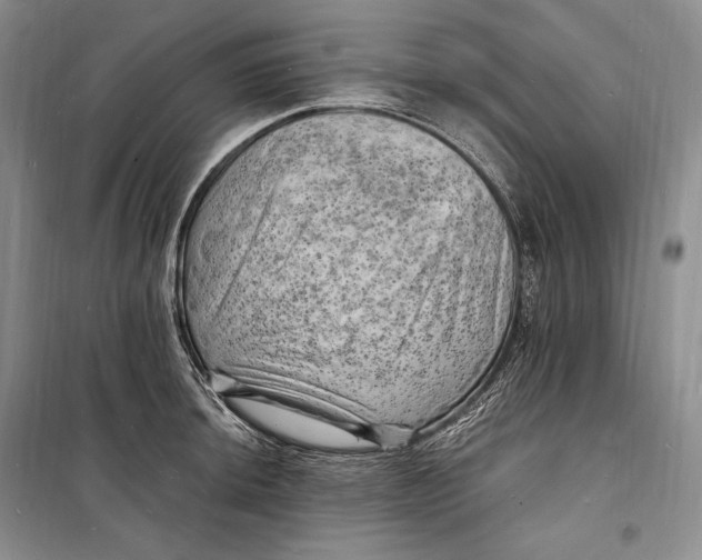 X0000098231044200805151336