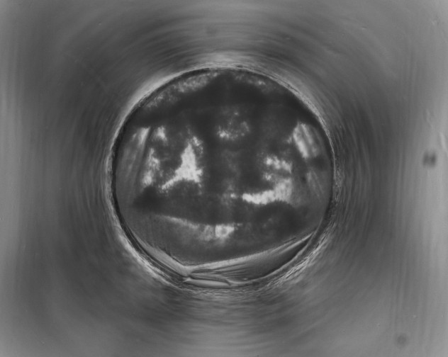 X0000098231045200805151336